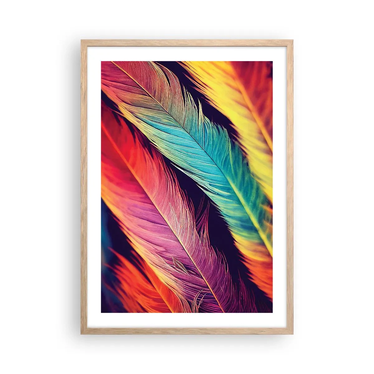Affiche dans un chêne clair - Poster - Arc-en-ciel de plumes - 50x70 cm