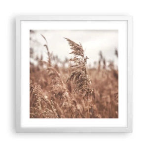 Affiche dans un cadre blanc - Poster - C'est déjà l'automne dans les champs - 40x40 cm