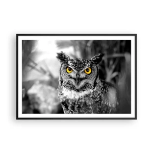 Affiche dans un cadre noir - Poster - Une photo en noir et blanc d'un hibou aux yeux jaunes - 100x70cm - Rien ne se cachera - Décoration murale moderne pour le salon et la chambre ARTTOR