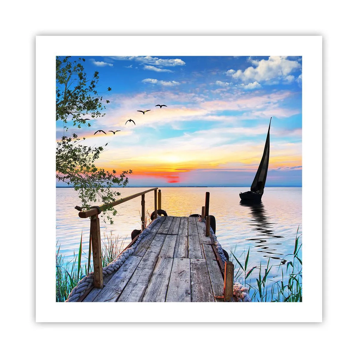 Affiche - Poster - Bonsoir! - 50x50 cm