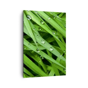 Impression sur toile - Image sur toile - Gros plan de brins d'herbe verte avec des gouttes de rosée - 50x70cm - Jouez dans le vert - Décoration murale moderne pour le salon et la chambre ARTTOR
