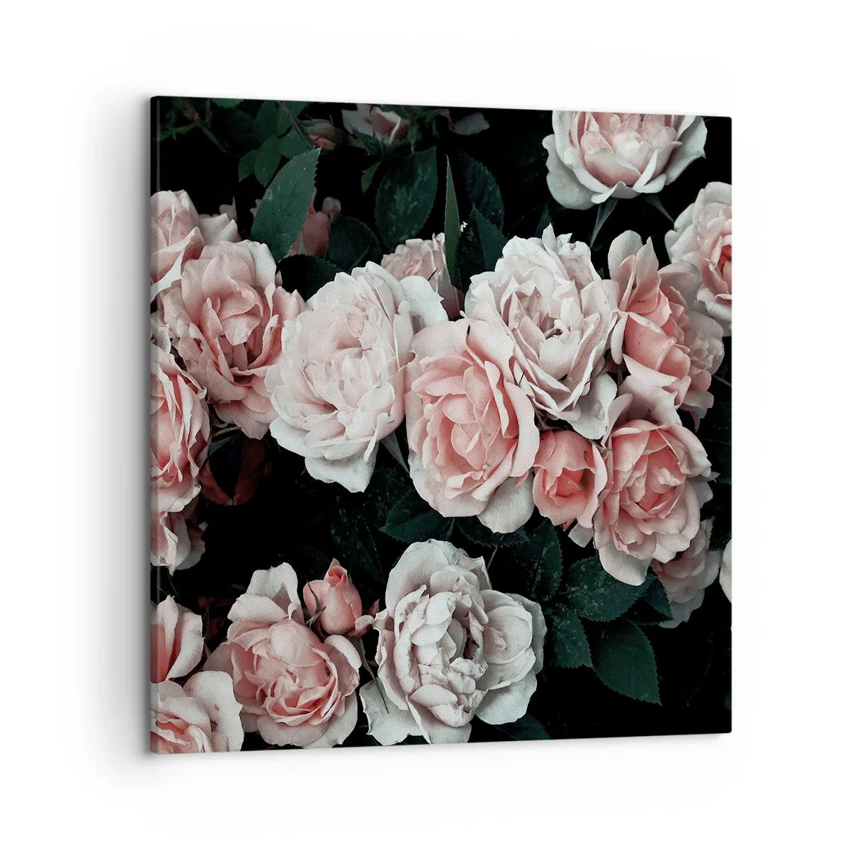 Impression sur toile - Image sur toile - Ensemble de rose - 50x50 cm