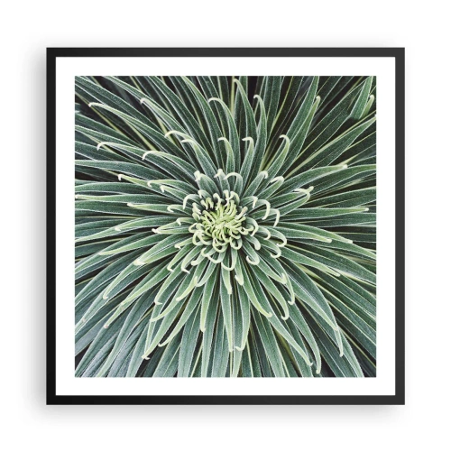 Affiche dans un cadre noir - Poster - Naissance d'une étoile - 60x60 cm