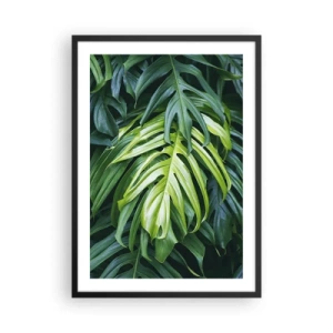 Affiche dans un cadre noir - Poster - Gros plan sur des feuilles de monstera vertes - 50x70cm - Immergez-vous dans la fraîcheur - Décoration murale moderne pour le salon et la chambre ARTTOR