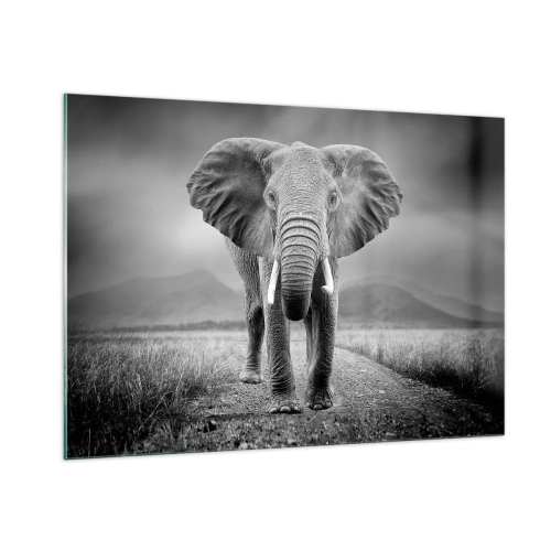 Impression sur verre - Image sur verre - Éléphant dans la savane en noir et blanc - 100x70cm - Les hôtes vous saluent - Décoration murale moderne pour le salon et la chambre ARTTOR