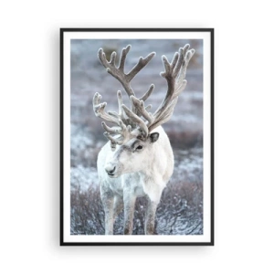 Affiche dans un cadre noir - Poster - Portrait au soleil - 70x100 cm