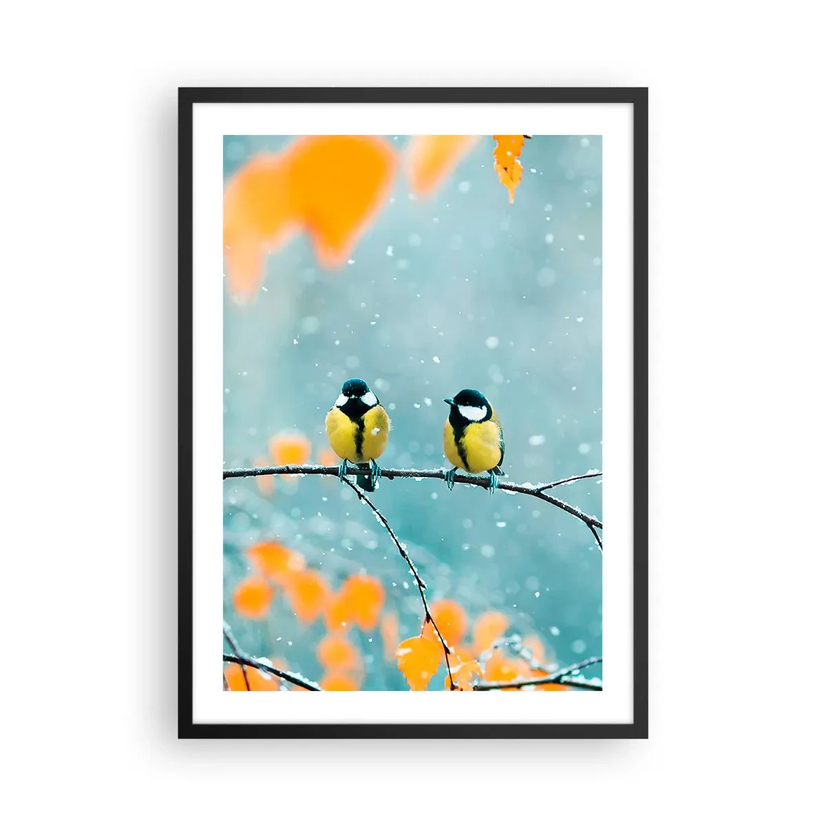 Affiche dans un cadre noir - Poster - Deux mésanges assises sur une branche dans un paysage hivernal - 50x70cm - Potins d'oiseaux - Décoration murale moderne pour le salon et la chambre ARTTOR