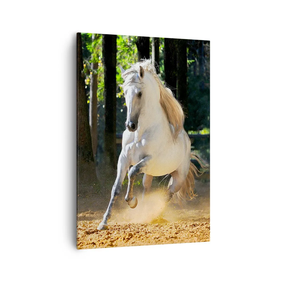 Impression sur toile - Image sur toile - Un cheval blanc galopant dans une clairière forestière - 70x100cm - Comme dans un roman fantastique - Décoration murale moderne pour le salon et la chambre ARTTOR