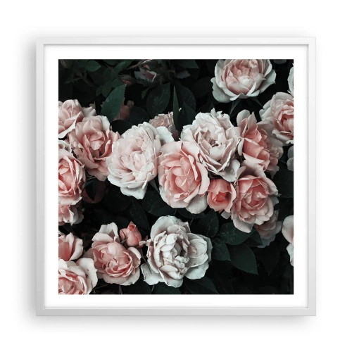 Affiche dans un cadre blanc - Poster - Ensemble de rose - 60x60 cm