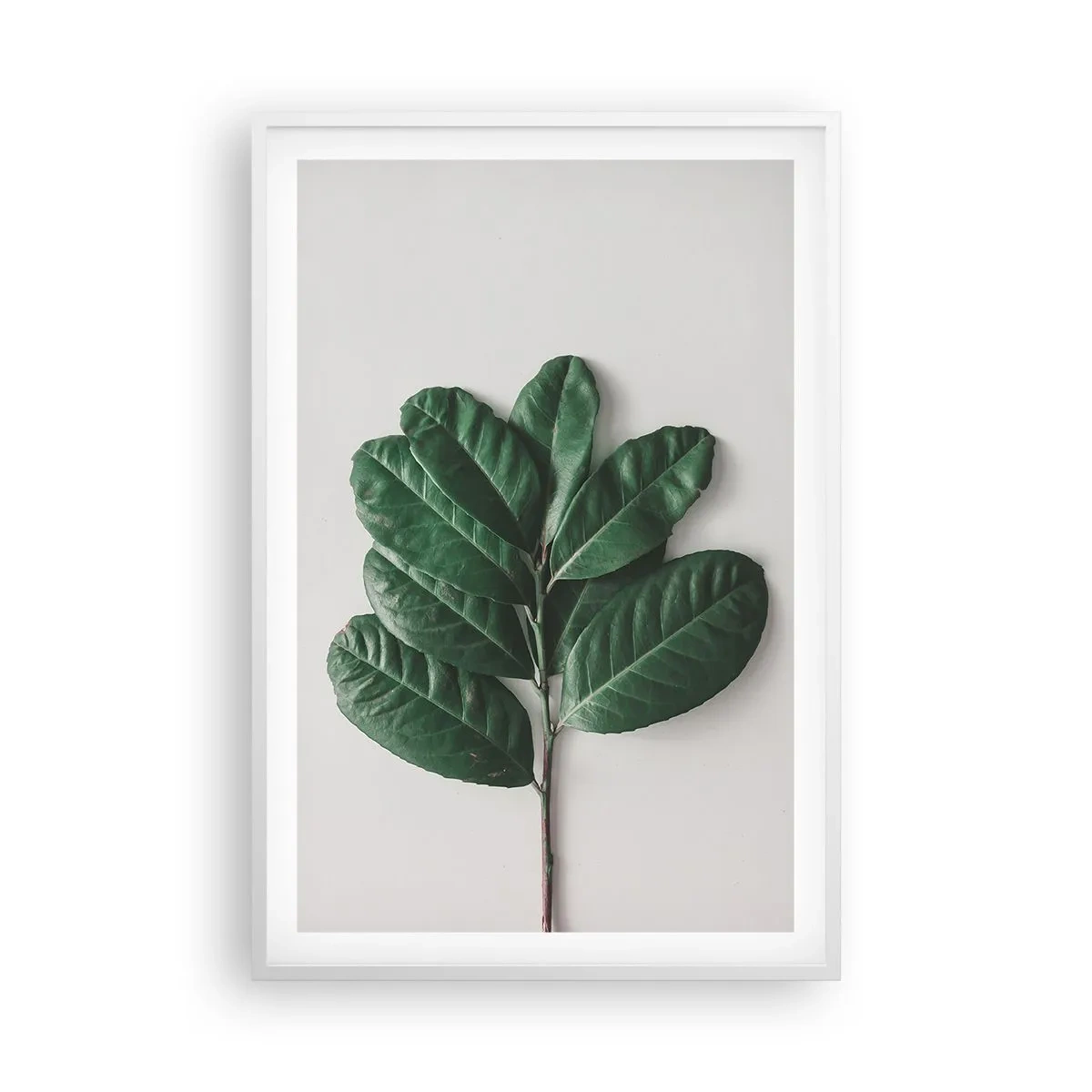 Affiche dans un cadre blanc - Poster - Dessin de la nature elle-même - 61x91 cm