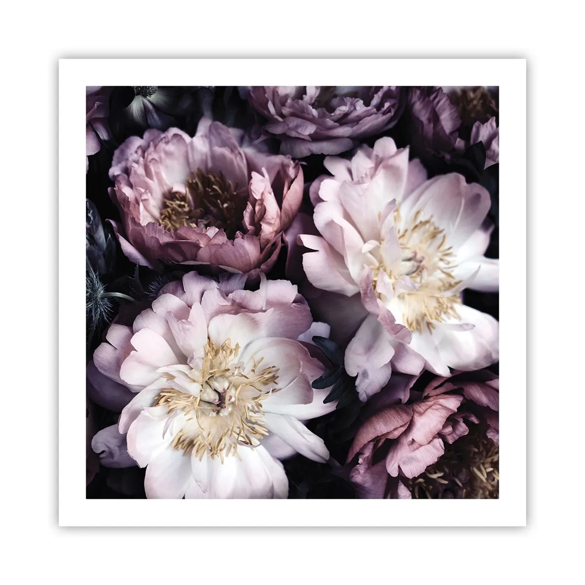Affiche - Poster - Bouquet à l'ancienne - 60x60 cm