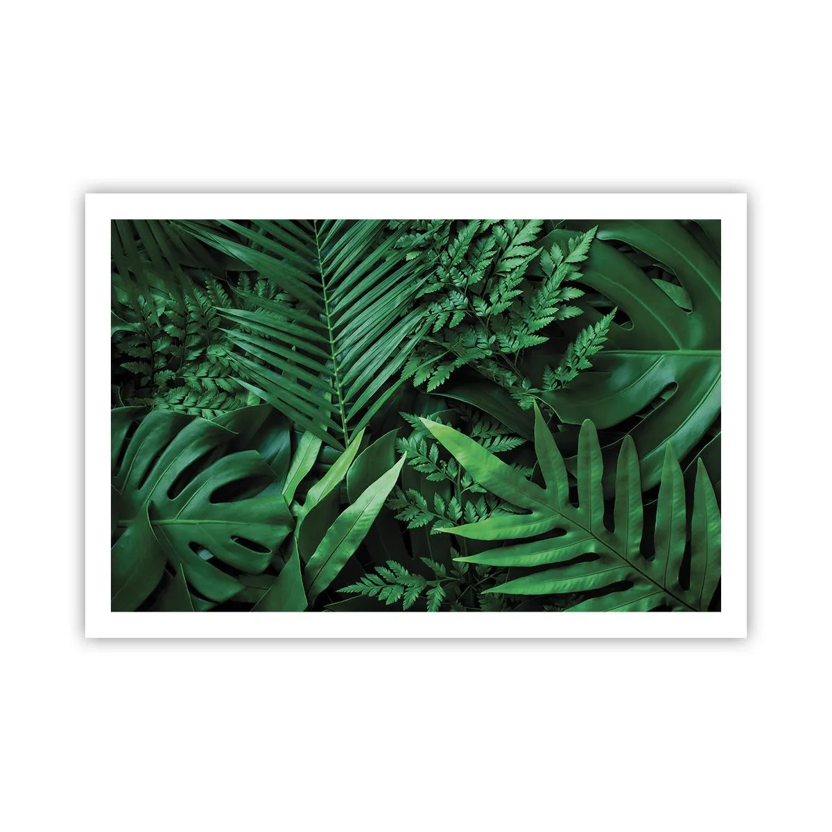 Affiche - Poster - Emmitouflé de verdure - 91x61 cm