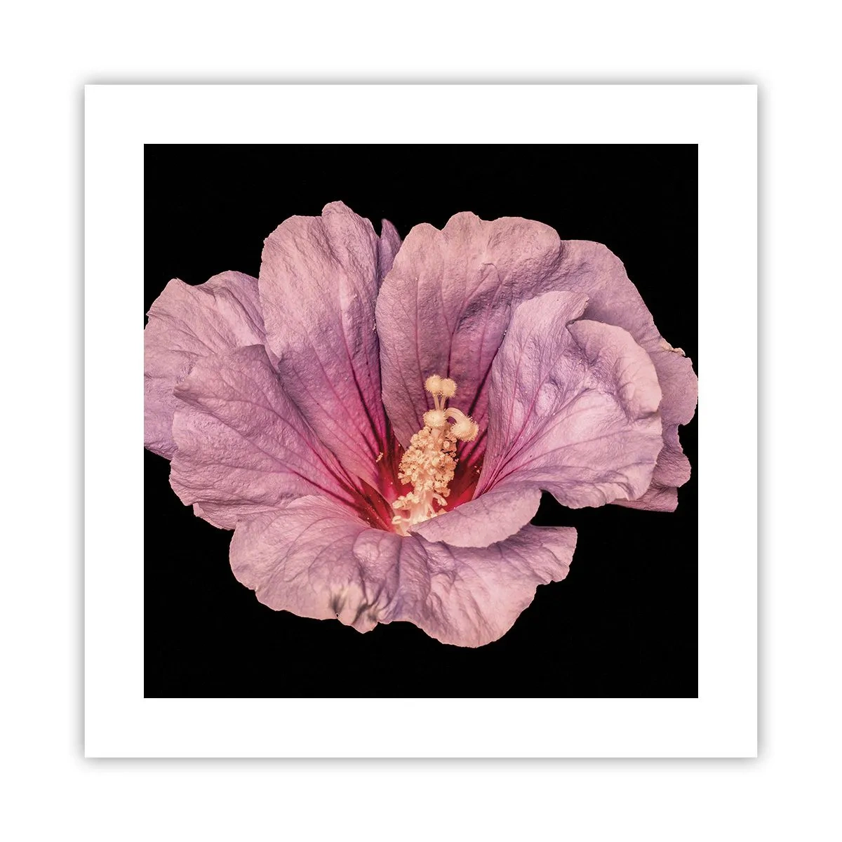 Affiche - Poster - Directement au coeur - 40x40 cm