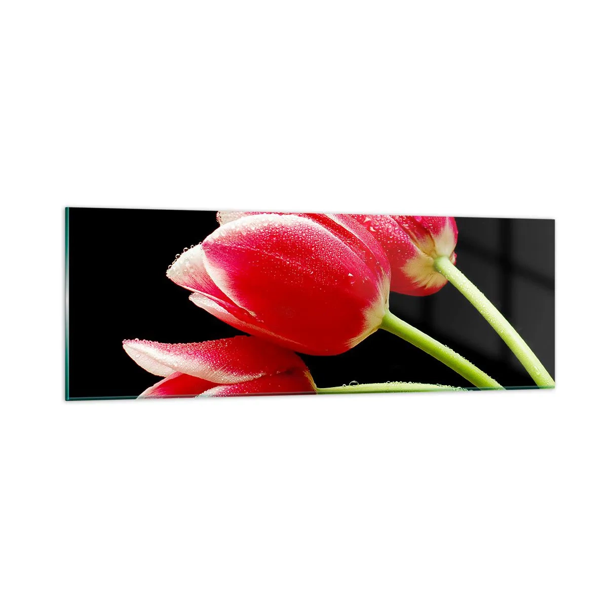 Impression sur verre - Image sur verre - Une promesse d'amour pur - 90x30 cm