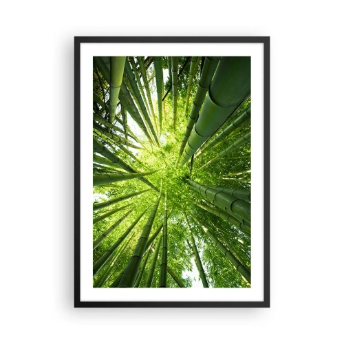 Affiche dans un cadre noir - Poster - Vue sur la dense forêt de bambous - 50x70cm - Dans une bambouseraie - Décoration murale moderne pour le salon et la chambre ARTTOR