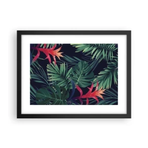 Affiche dans un cadre noir - Poster - immergé dans la nature - 40x30 cm