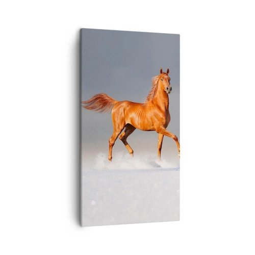 Impression sur toile - Image sur toile - La grâce dansante - 45x80 cm