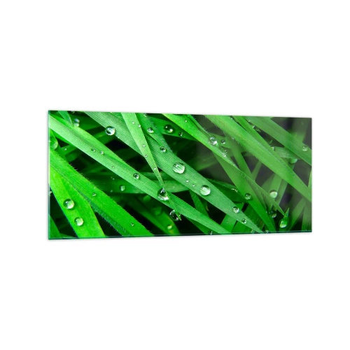 Impression sur verre - Image sur verre - Gros plan de brins d'herbe verte avec des gouttes de rosée - 120x50cm - Jouez dans le vert - Décoration murale moderne pour le salon et la chambre ARTTOR