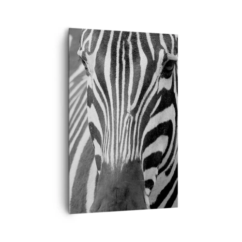 Impression sur toile - Image sur toile - Gros plan noir et blanc d'un zèbre avec ses rayures distinctives. - 80x120cm - Le monde est noir et blanc - Décoration murale moderne pour le salon et la chambre ARTTOR