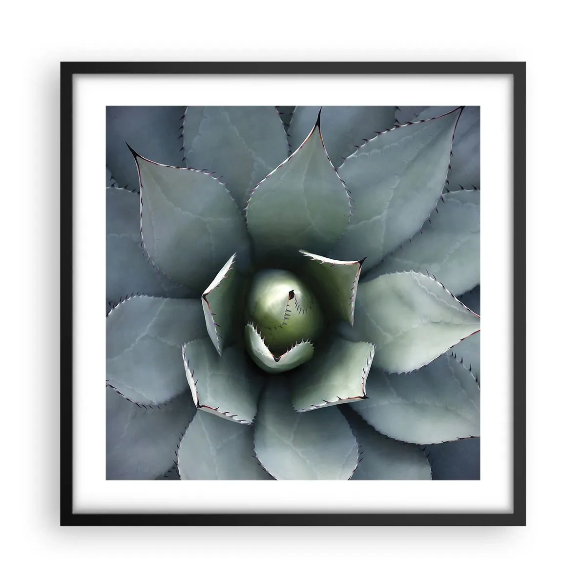 Affiche dans un cadre noir - Poster - Wabi et observe - 50x50 cm