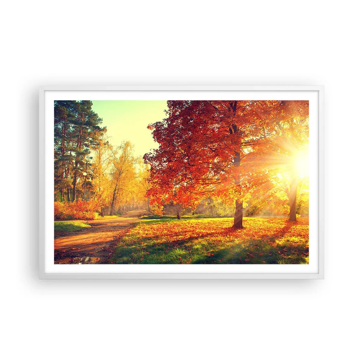 Affiche dans un cadre blanc - Poster - Le roux est beau - 91x61 cm