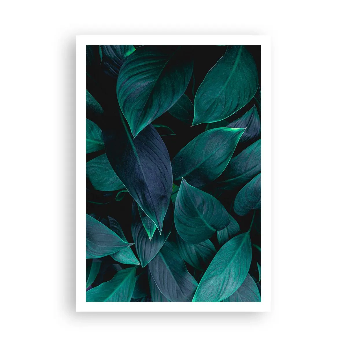 Affiche - Poster - le vert lui-même - 70x100 cm