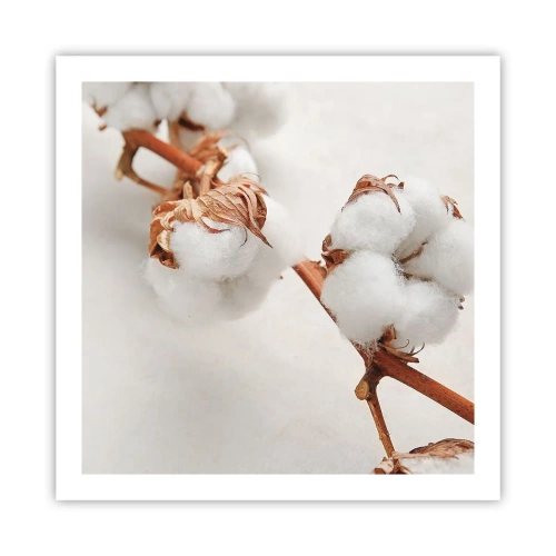 Affiche - Poster - Seulement caliner - 60x60 cm