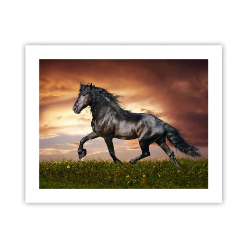 Affiche - Poster - Livres noirs - 50x40 cm