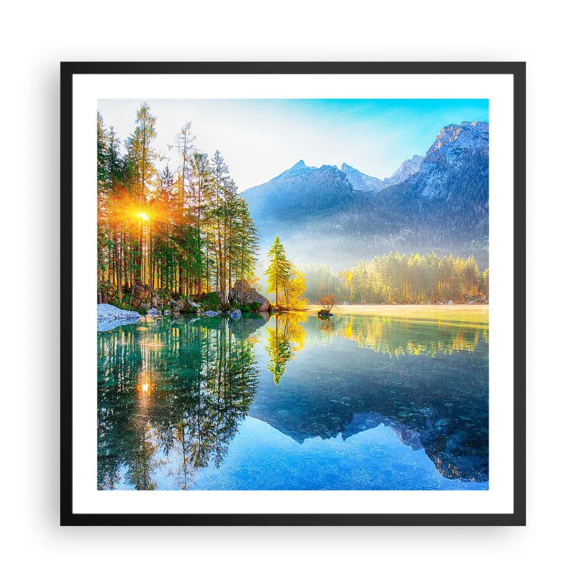 Affiche dans un cadre noir - Poster - Majesté et douceur - 60x60 cm