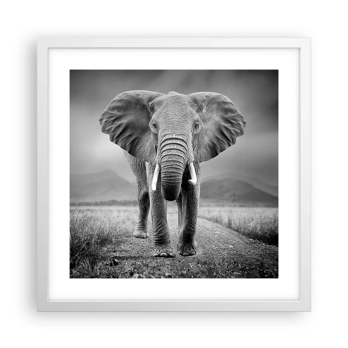 Affiche dans un cadre blanc - Poster - Les hôtes vous saluent - 40x40 cm