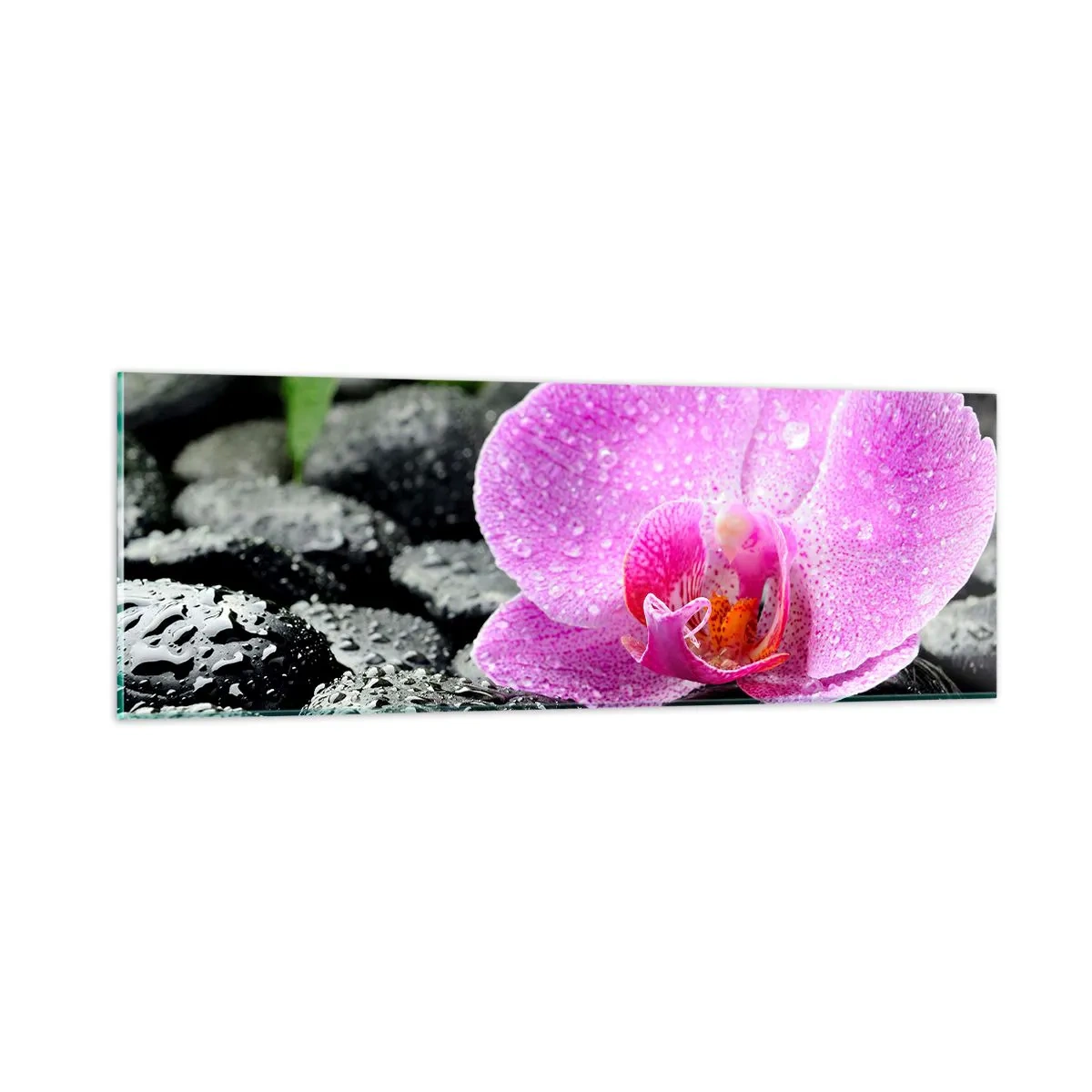 Impression sur verre - Image sur verre - Comme un coeur ouvert - 90x30 cm
