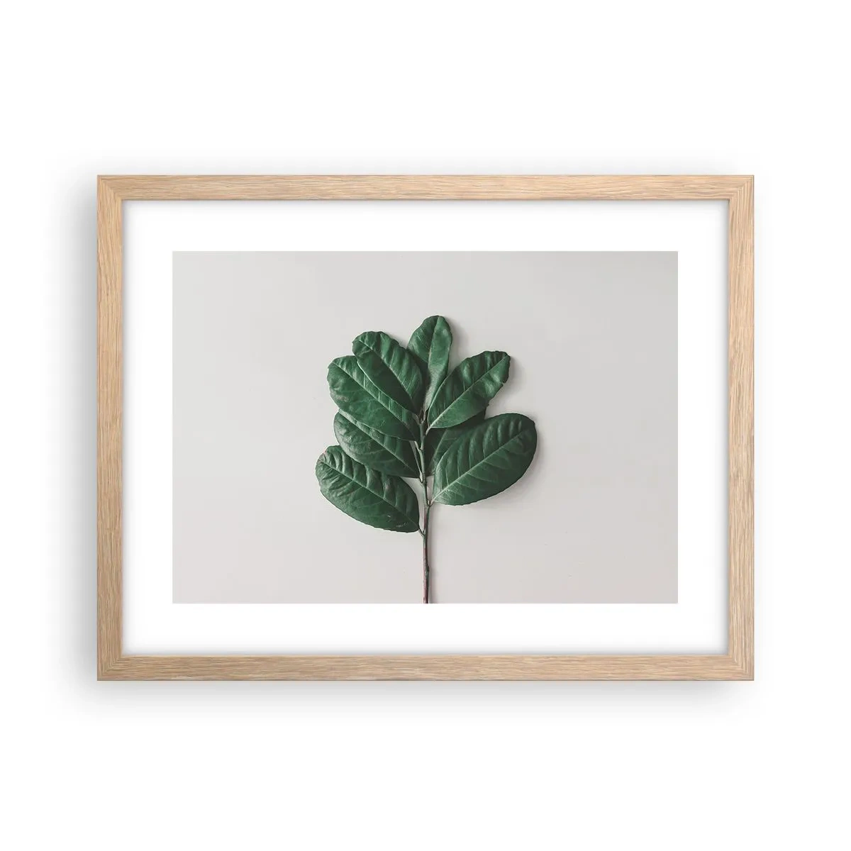 Affiche dans un chêne clair - Poster - Dessin de la nature elle-même - 40x30 cm