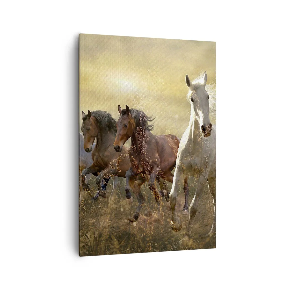 Impression sur toile - Image sur toile - Un groupe de chevaux au galop sur fond de soleil couchant - 70x100cm - Vive la liberté! - Décoration murale moderne pour le salon et la chambre ARTTOR