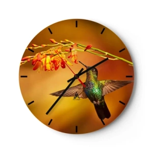 Horloge murale - Pendule murale - Un colibri se nourrissant de fleurs dans la lumière chaude - 30x30cm - Un messager de lumière selon les Mayas - Décoration murale moderne pour le salon, la cuisine et la chambre ARTTOR