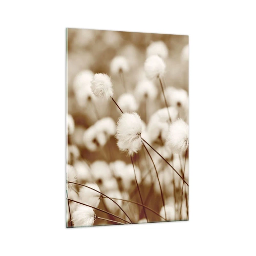 Impression sur verre - Image sur verre - Un champ de plantes délicates aux tons sépia - 70x100cm - Tige moelleuse - Décoration murale moderne pour le salon et la chambre ARTTOR