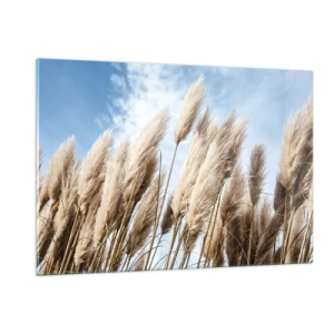 Impression sur verre - Image sur verre - Herbes de pampa décoratives contre un ciel bleu - 120x80cm - Caresse ensoleillée et venteuse - Décoration murale moderne pour le salon et la chambre ARTTOR