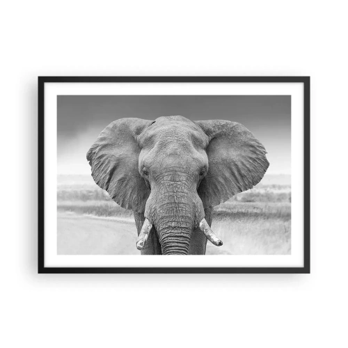 Affiche dans un cadre noir - Poster - Portrait d'un éléphant en noir et blanc - 70x50cm - Bienvenue dans mon monde - Décoration murale moderne pour le salon et la chambre ARTTOR