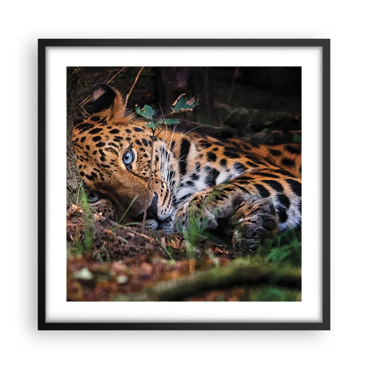 Affiche dans un cadre noir - Poster - Fais-moi confiance - 50x50 cm