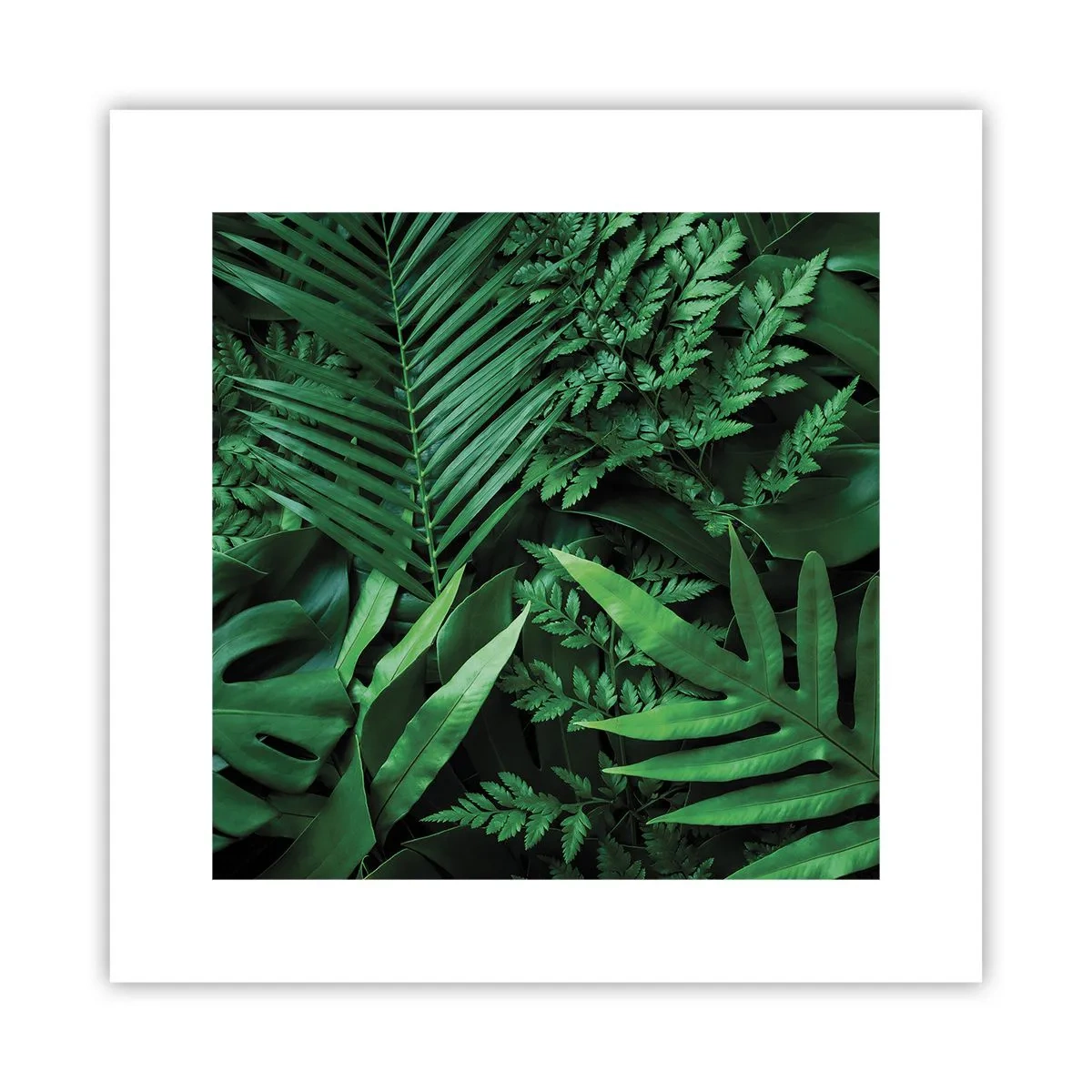 Affiche - Poster - Emmitouflé de verdure - 30x30 cm