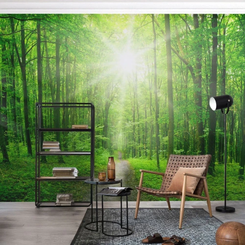 Papier Peint Photo Premium Canvas - Chemin dans la forêt avec les rayons du soleil - 100x70cm - Cathédrale verte - Décoration murale moderne pour le salon et la chambre ARTTOR