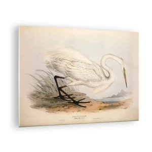 Impression sur verre - Image sur verre - Illustration vintage d'un héron blanc au bord de l'eau - 70x50cm - Dame sur les joncs - Décoration murale moderne pour le salon et la chambre ARTTOR
