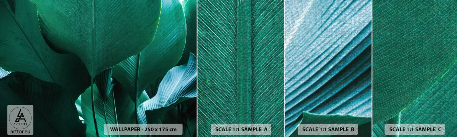 Échantillon de Papier Peint Premium Canvas - Tourné vers la lumière - Feuille de banane, Bananier, Usine - 100x30 cm