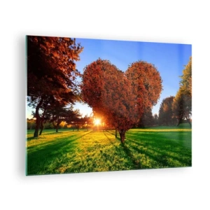 Impression sur verre - Image sur verre - Un arbre en forme de cœur sur fond de soleil couchant - 70x50cm - Et comment ne pas aimer tomber - Décoration murale moderne pour le salon et la chambre ARTTOR
