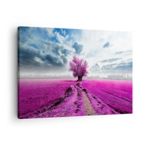Impression sur toile - Image sur toile - Un arbre solitaire dans un champ dans une nuance de rose intense - 70x50cm - Lande - nature sauvage - Décoration murale moderne pour le salon et la chambre ARTTOR