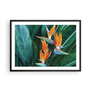 Affiche dans un cadre noir - Poster - Fleurs de strelitzia exotiques entourées de feuilles vertes - 70x50cm - Est-ce une fleur, est-ce un oiseaux? - Décoration murale moderne pour le salon et la chambre ARTTOR