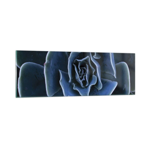 Impression sur verre - Image sur verre - Fleur du désert - 90x30 cm