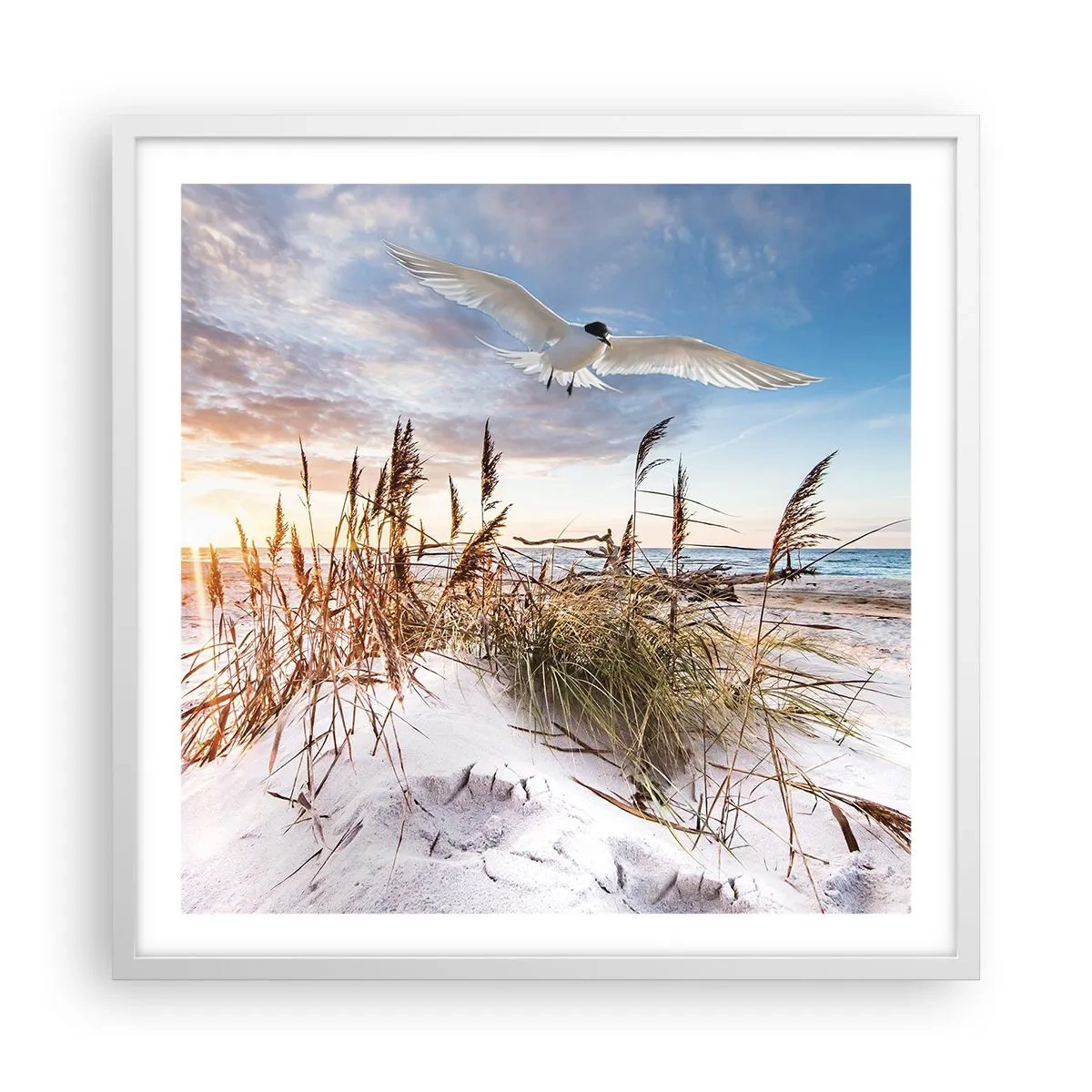 Affiche dans un cadre blanc - Poster - Vent de mer - 60x60 cm