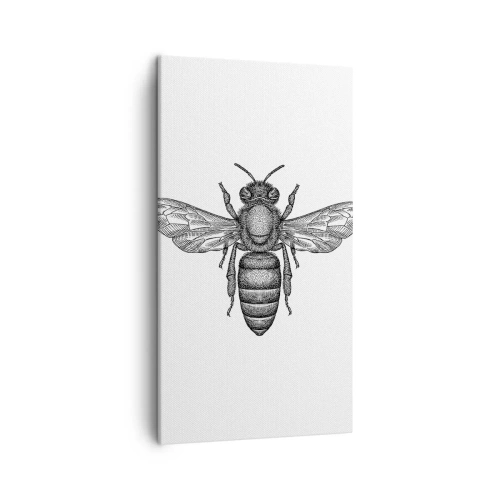 Impression sur toile - Image sur toile - Portrait d'insecte - 45x80 cm