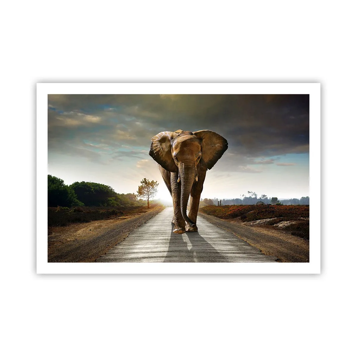 Affiche - Poster - Et pas du tout en porcelaine - 91x61 cm