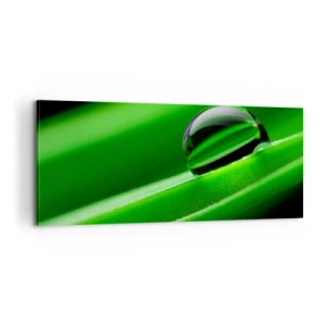 Impression sur toile - Image sur toile - La vie de près - 100x40 cm